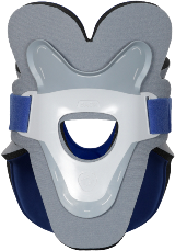 Capital Advanced Collar Back