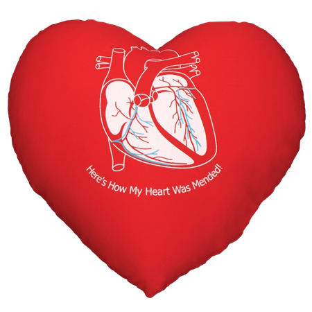 M13-100 Cardiac Cushion